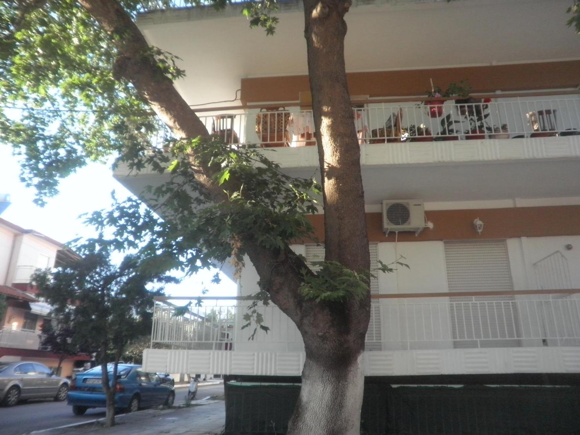 Apartments Anesis Pantazis Asprovalta Exterior photo